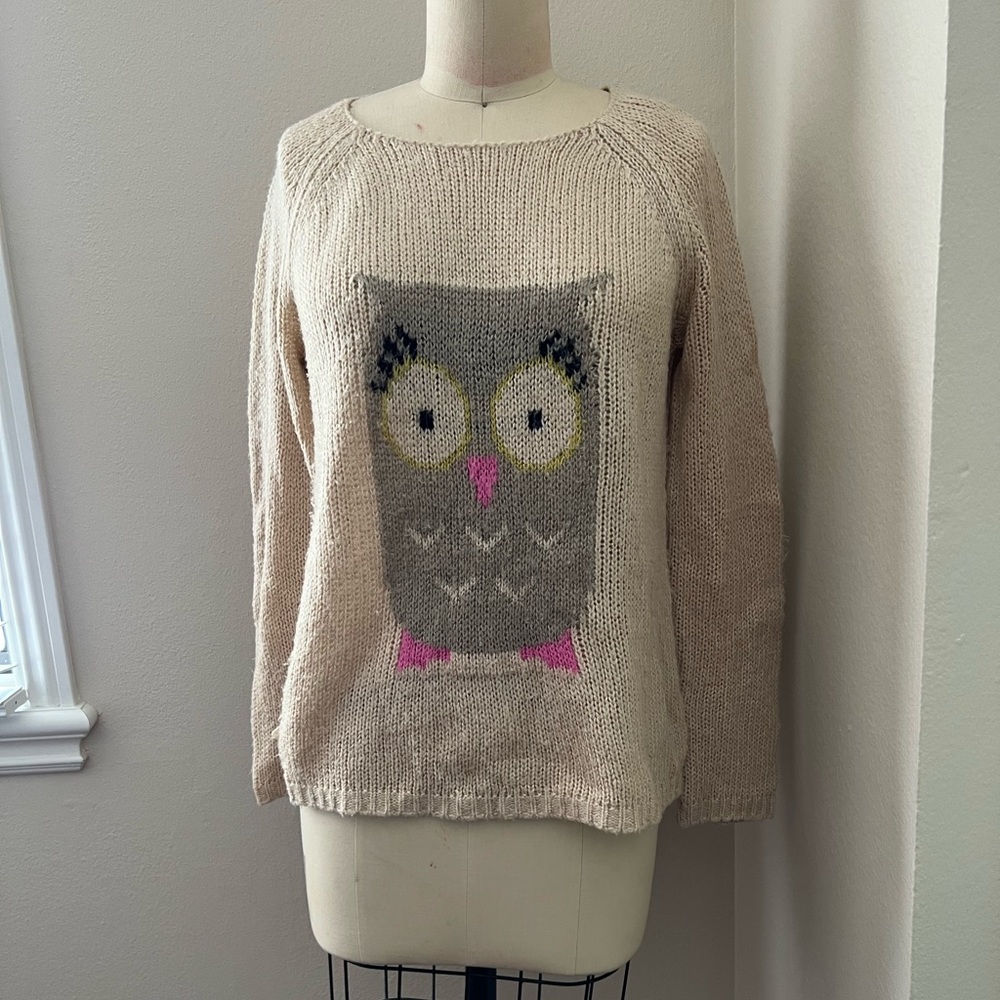 Cute Owl Sweater
